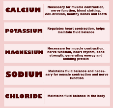 Full Guide On How To Get Electrolytes On Keto Diet Siim Land