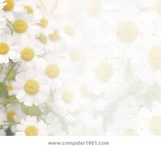 We did not find results for: 36 Template Powerpoint Dengan Tema Bunga Computer 1001