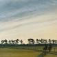 Suffolk Skies event image