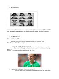 Bentuk mata kecil (sipit), bola mata hitam kecoklatan, bibir tipis, rambut hitam cenderung lurus Ras Mongoloid