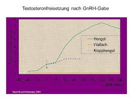 Normalerweise befindet sich der hoden im hodensack. Untermodul Andrologie Und Kb 6 Semester Sommersemester Ppt Video Online Herunterladen
