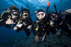 June PADI IDC — Blue Corner Dive & Conservation
