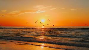 Yo reservasi dari sekarang untuk libur lebaran 2017 penginapan srikandi sawarna contact person bpk/kang. Baca Ini Dulu Sebelum Kamu Wisata Ke Pantai Sawarna Bareng Teman Kostan Reddoorz Blog