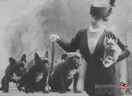 This book prepares you for the challenge & rewards of owning. French Bulldogs The Titanic How History Could Have Been Different