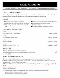 Modelli Di Cv In Formato Word Facili Ilcvperfetto