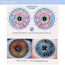 wallet size iridology chart