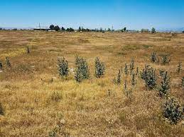 Touring an abandoned golf course on the west shores of the salton sea near salton city, california. Golf Courses Without Maintenance Gcmonline Com