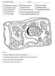These smaller parts are called organelles. Biologycorner Com Animal Cell Coloring Key Animal Cells Coloring Worksheet Lovely Plant And Animal Download Animal Cell Coloring Answer Key For Free Bomo Ra