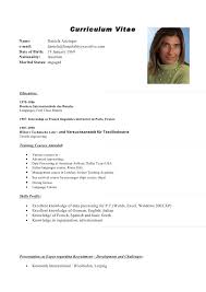 Modello fornito dalla commissione europe. Curriculum Vitae Formato Europeo English Version
