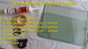 Ikan hias air tawar laut dan aquarium. Cara Pembuatan Aquarium Alam Ikan