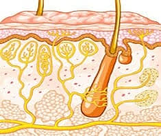 We did not find results for: Medizinlexikon Abszess Gesund Co At