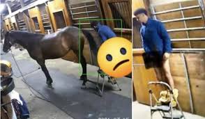Semenbiscuit Fucks Horse At Norfolk Equestrian Farm – Turtleboy