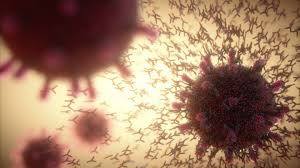 La variante lambda, identificada por primera vez en perú, se ha registrado en 29 países hasta la variante se había detectado en el 81% de las muestras de coronavirus secuenciadas en perú. Lambda La Nueva Variante Del Covid Que Esta Atacando A Sudamerica El Financiero