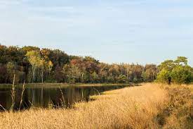 Leersumse veld is situated east of valkenheide. Wandelroute Leersumse Veld Utrechtse Heuvelrug
