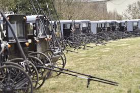 Nearly all amish adults will have a bank checking account. 90 Percent Of Plain Community Households Hit By Covid 19