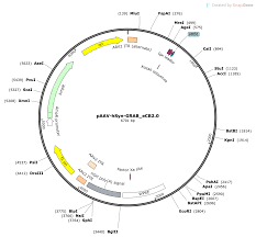 Image result for Black 1995 AAV