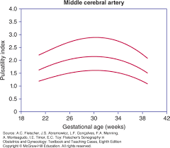 doppler interrogation of the fetal circulation fleischers