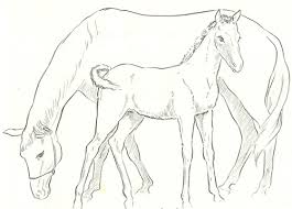 Hope you enjoy it and like the interesting fact related to the. How To Draw Momma And Baby Horse Mare And Foal Drawing Tutorial Page 2 Of 2 How To Draw Step By Step Drawing Tutorials