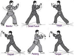 Macam macam tendangan dalam pencak silat dalam bela diri pencak silat, tendangan merupakan sa;ah satu tehnik yang dipakai ketika berhadapan dengan lawan dengan situasi jarak yang jauh. Lernen Sie Pencak Silat Techniken Fur Android Apk Herunterladen