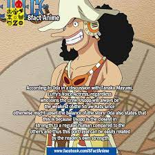 One Piece This Is Actually The Reason Why Usopp Is One Of My Favorites Because He S So Human And Relatable One Piece Theories Usopp Pieces Facts