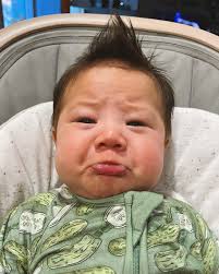 Andy Le (@a_le_) • Instagram photos and videos