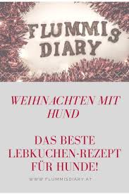 Lebkuchen Fur Hunde Hunde Rezept Fur Weihnachten Hunde Kekse Rezept Lebkuchen Weihnachten Rezepte