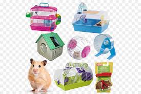 It is a very clean transparent background image and its resolution is 390x430 , please mark the image source when quoting it. Hamster Background