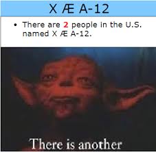 This Is Getting Out Of Hand Now There Are Two Of Them Funny Relatable Memes Funny Memes Edgy Memes