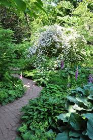 Pin On Gardening