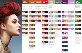 Love Pravana Vivids Hair Color Cabello Curso