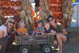 Pumpkins The Flower Mound Pumpkin Patch