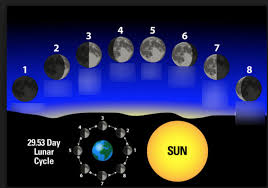 We did not find results for: Earth Sun And Moon Diagram Quizlet