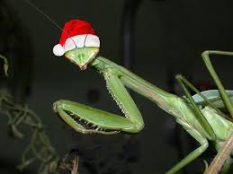 Bah Humbug Purdue Extension