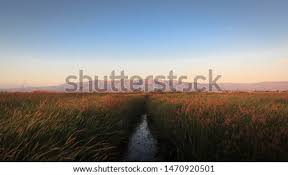 I last went here several years ago when the park and town wasn't as developed as it is now. Alviso Marina County Park Google æœå°‹