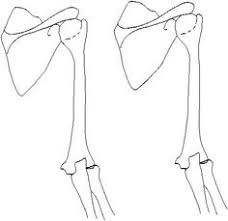 Arm template tattoo hidden tattoos arm sleeve tattoos tattoo sleeve. 35 Bicep Tattoo Sleeve Template Ideas Bicep Tattoo Sleeve Tattoos Tattoo Templates