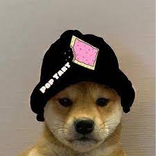 Pin By Jabotardo On Dogwifhat Dog Profile Pictures Profile Picture Dog Icon