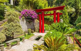 The classical zen garden, for example, is praised for its purity and meditative spirituality. Design Ideas For A Japanese Garden David Domoney