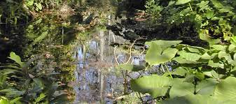 Eureka springs hiking guides & outfitters. Eureka Springs Florida Hikes