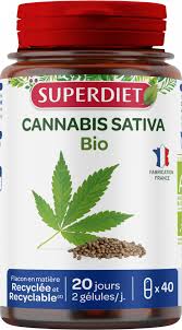 Image result for Cannabis sativa