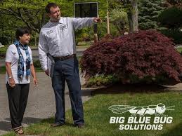 ← buffalo wings n things co. Big Blue Bug Solutions 1486 Broadway South Portland Me Pest Control Mapquest