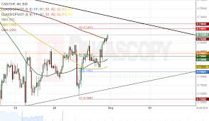 Patterns Cad Chf Chf Jpy Hkd Jpy Eur Hkd