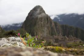 Dr Larry Cahoon, UNCW Professor returns for another episode