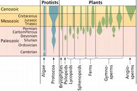 Paleobiology 4