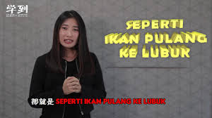 Selain itu, dengan rutin mengonsumsi minyak zaitun. Upsr Bm Bagai Menatang Minyak Yang Penuh å­¦åˆ° Angelia Youtube