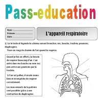 Vous reconnaîtrez certainement la mise en page : Appareil Respiratoire Ce1 Respiration Exercices Decouverte Du Monde Cycle 2