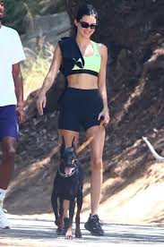 Kendall jenner's dog allegedly bites little girl! Kendall Jenner Sparks Fury With Cruel Collar Wrapped Around Pet Dog S Neck Mirror Online