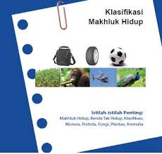 Soal ipa kelas 8 bab 2 semester 1. Rangkuman Ipa Kelas 7 Bab 2 Klasifikasi Makhluk Hidup Portal Edukasi