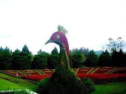Contents1 koleksi gambar pemandangan bunga1.1 ladang tulip dekat hillegom, belanda1.2 taman bunga nemophila di taman laut hitachi 1.4 taman bunga tulip di lembah skagit, washington. Taman Bunga Nusantara Liburan Seru Di Taman Bunga