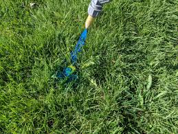 It usually takes a day or two to kill every roundworm. Complete Guide To 2 4 D Weed Killer And How To Use It Prince Gardening