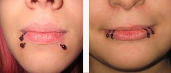 Snake bites piercing healing and after care. Snakebites Piercing Lippen Westend Tattoo Piercing Wien